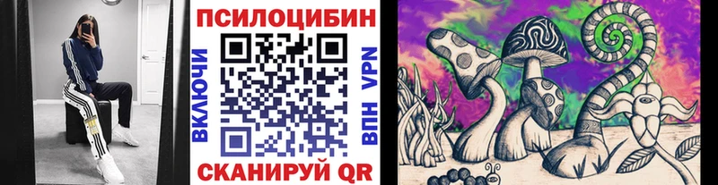 Псилоцибиновые грибы Cubensis Яблоновский